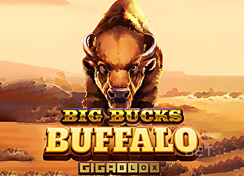 Big Bucks Buffalo Gigablox
