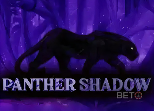 Panther Shadow