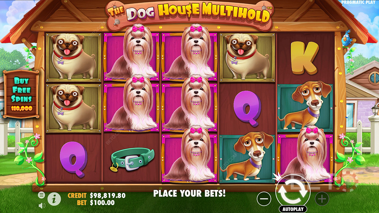 Verdetto per The Dog House Multihold Video Slot