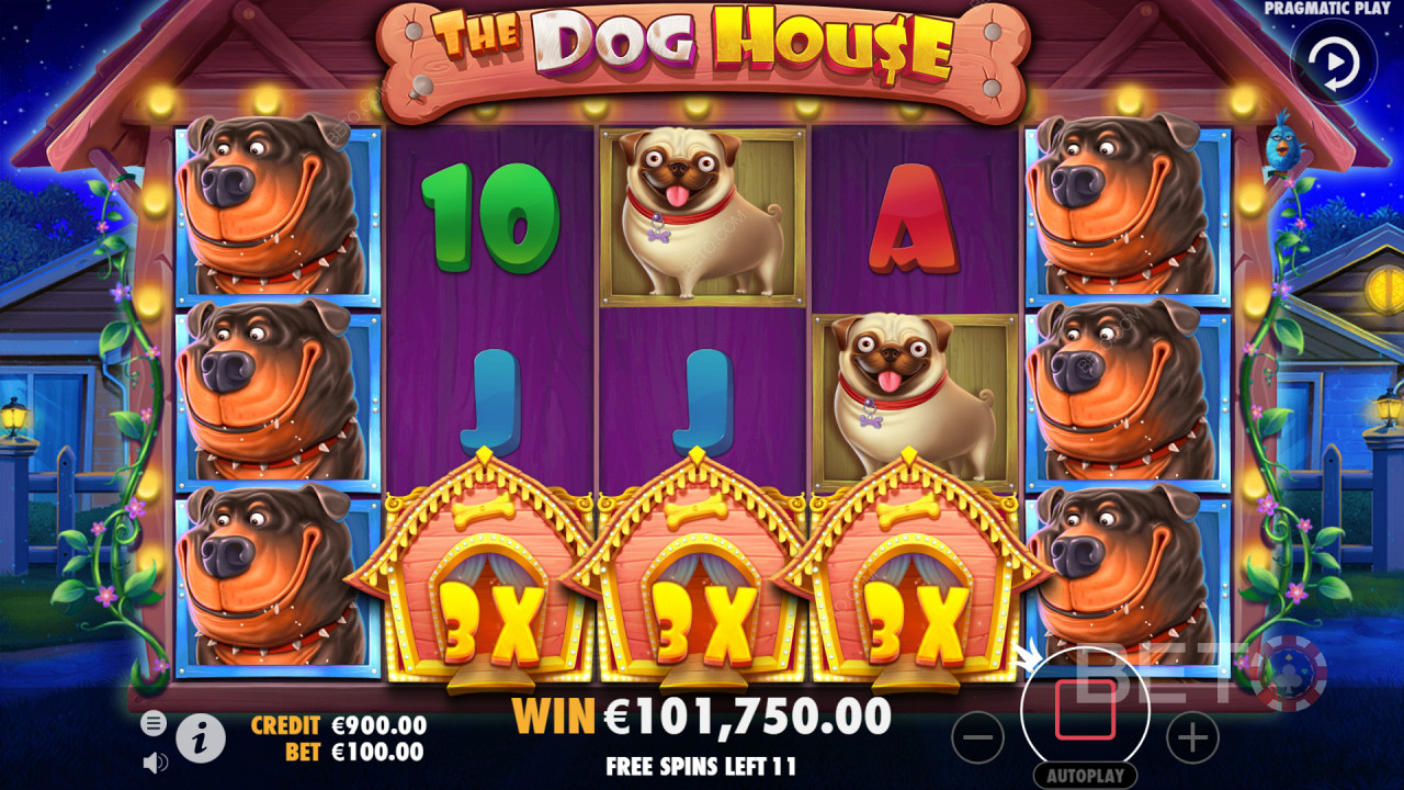 The Dog House - Una slot molto amichevole e popolare