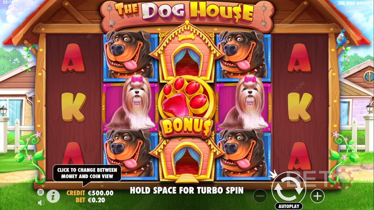 Bonus speciale nelle slot machine The Dog House