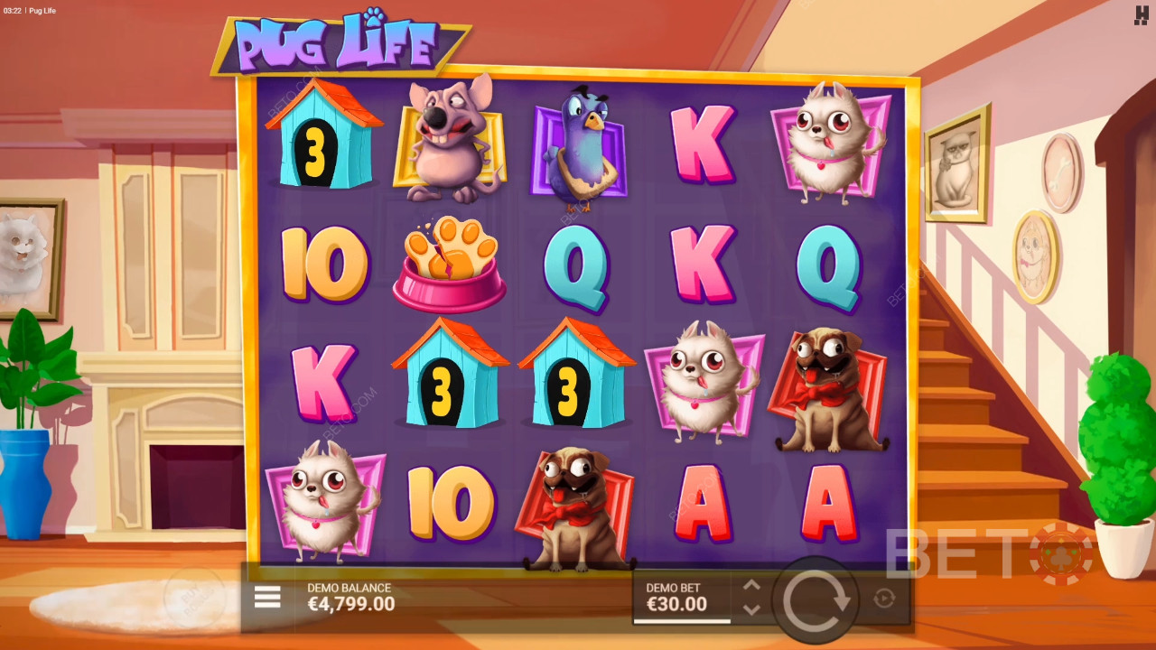 Recensione di Pug Life da parte di BETO Slots