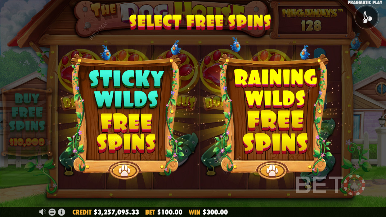 Due modalità Free Spins disponibili: una funzione Sticky Wilds Free Spins o Raining Wilds Free Spins
