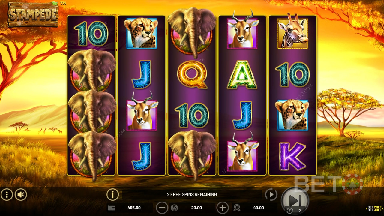 Stampede Recensione di BETO Slots