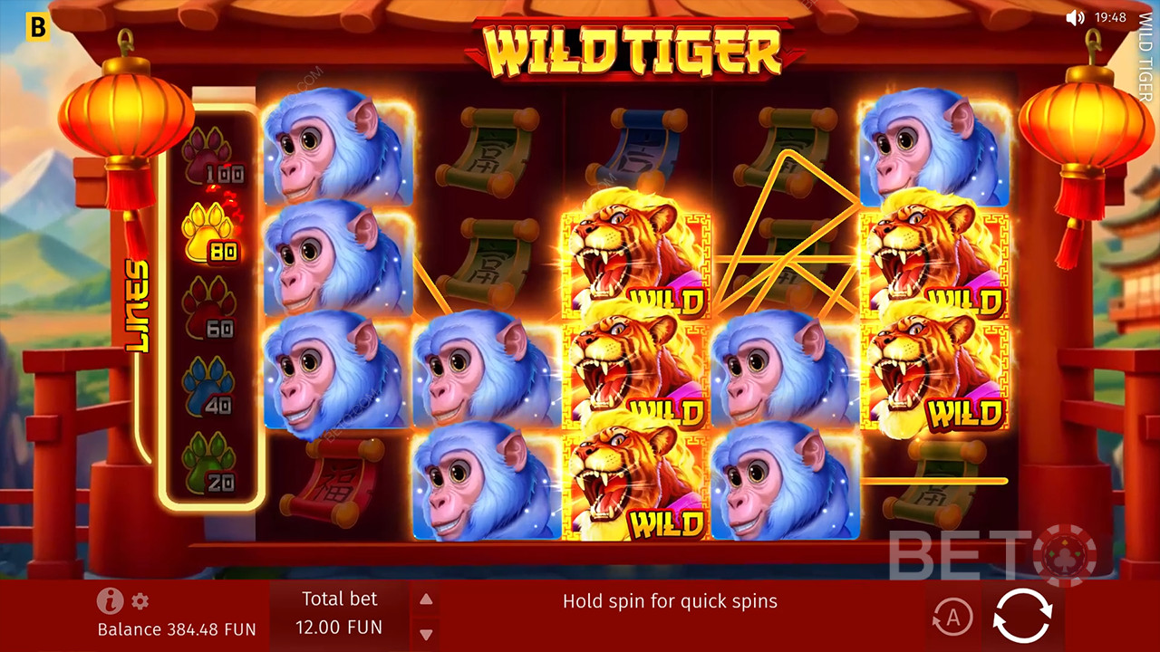 Recensione di Wild Tiger da parte di BETO Slots