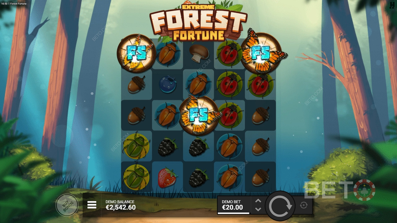 Recensione di Forest Fortune da parte di BETO Slots