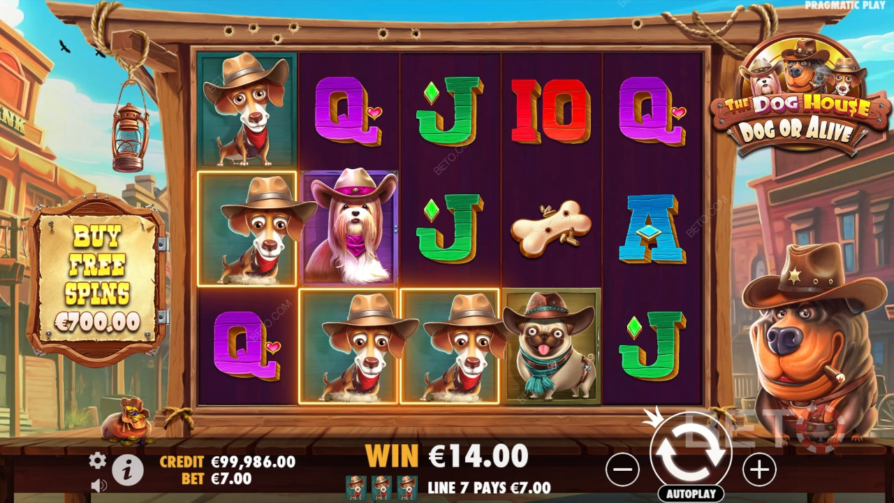 Tema e design: Cani del selvaggio West