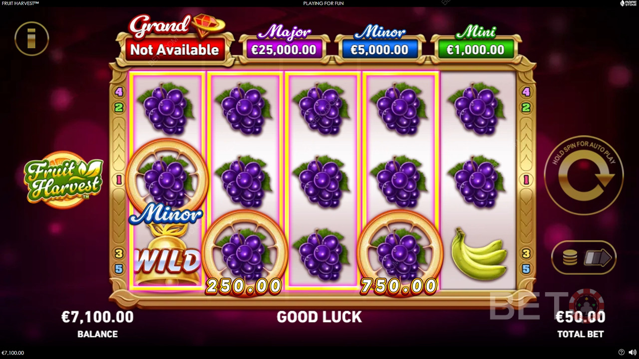 Recensione di Fruit Harvest da parte di BETO Slots