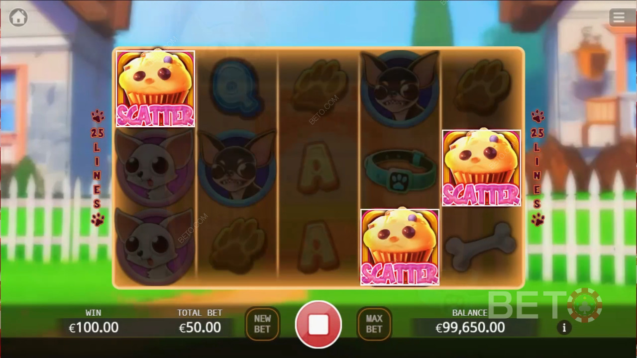 Chihuahua Party Recensione di BETO Slots