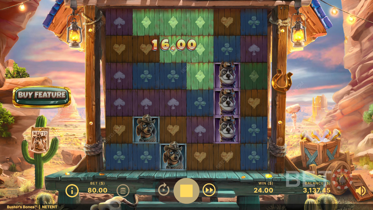 Tema e design: Avventura western canina
