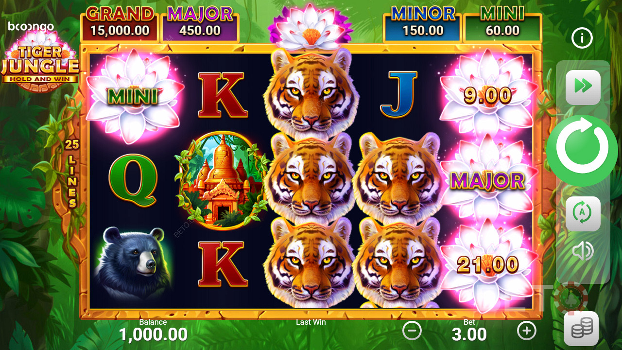 Atterraggio di jackpot in slot come Tiger Jungle Hold and Win
