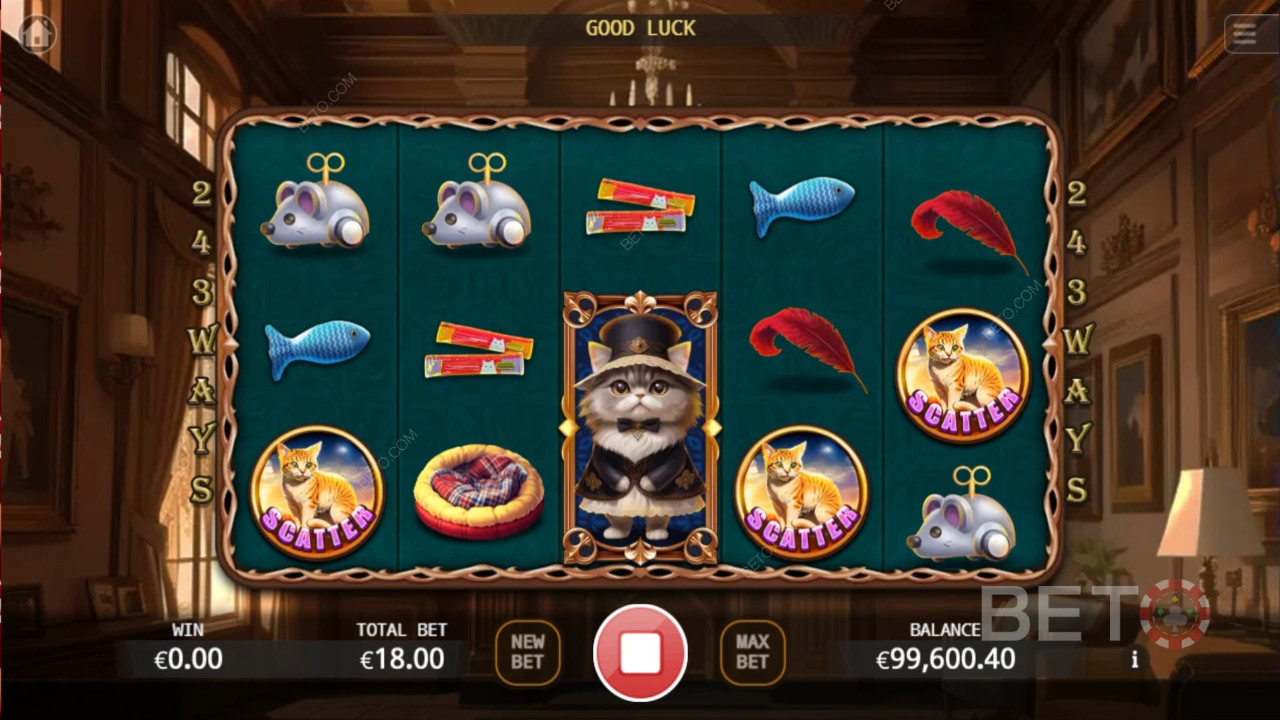 Noble Cat Gioco Gratuito