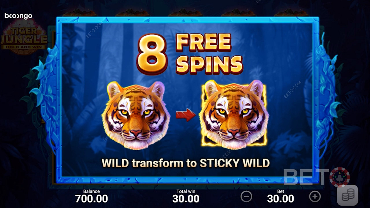 Vengono assegnati 8 Free Spins e tutti i wild diventano Sticky Wilds durante il round Free Spins.