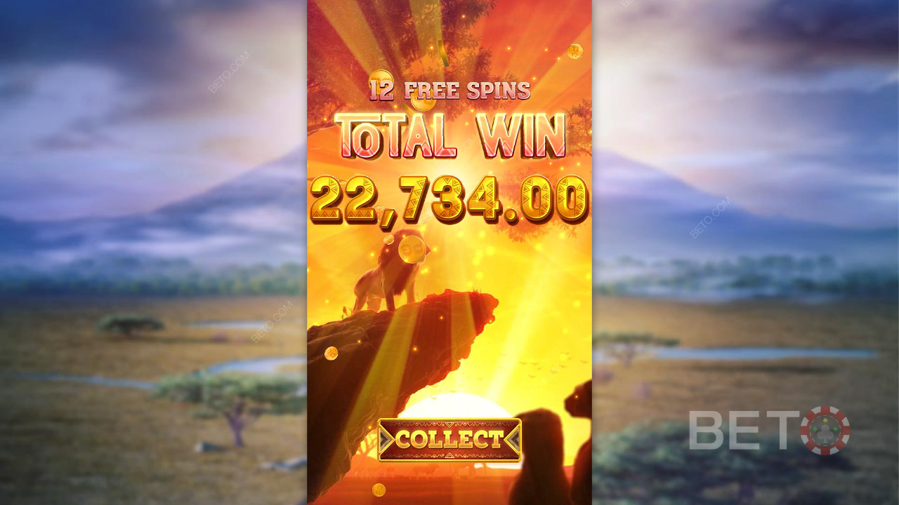 Vinci 5.000x la tua puntata nella Video Slot Safari Wilds!