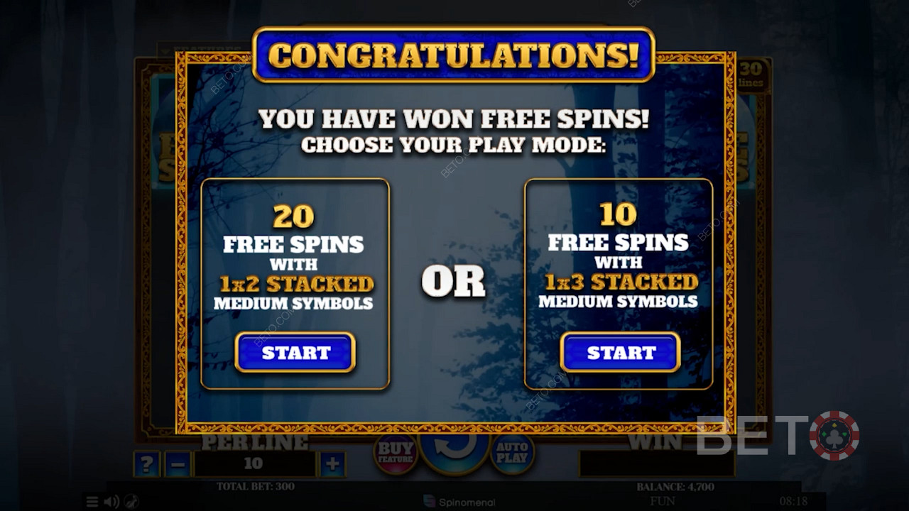 Attivate la modalità Free Spins e scegliete tra 2 tipi di bonus Free Spins