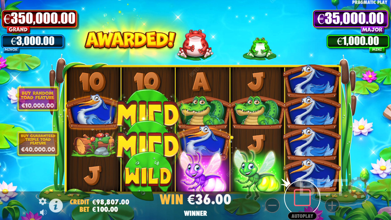 Tiny Toads Recensione di BETO Slots
