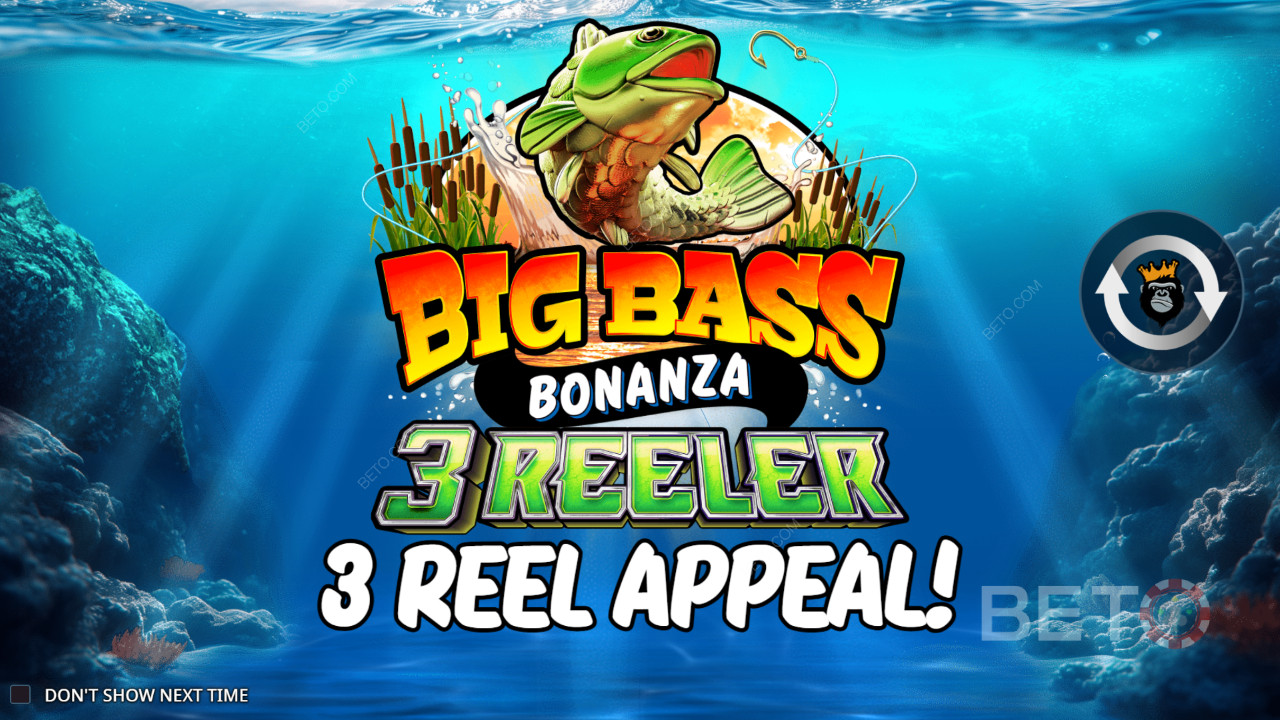 Come giocare a Reel Kingdom