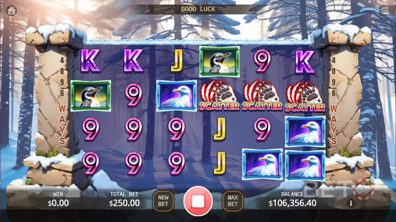 Bear Paw Legend Plus Gioco Gratuito