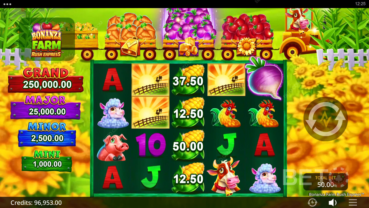 Bonanza Farm Rush Express Recensione di BETO Slots