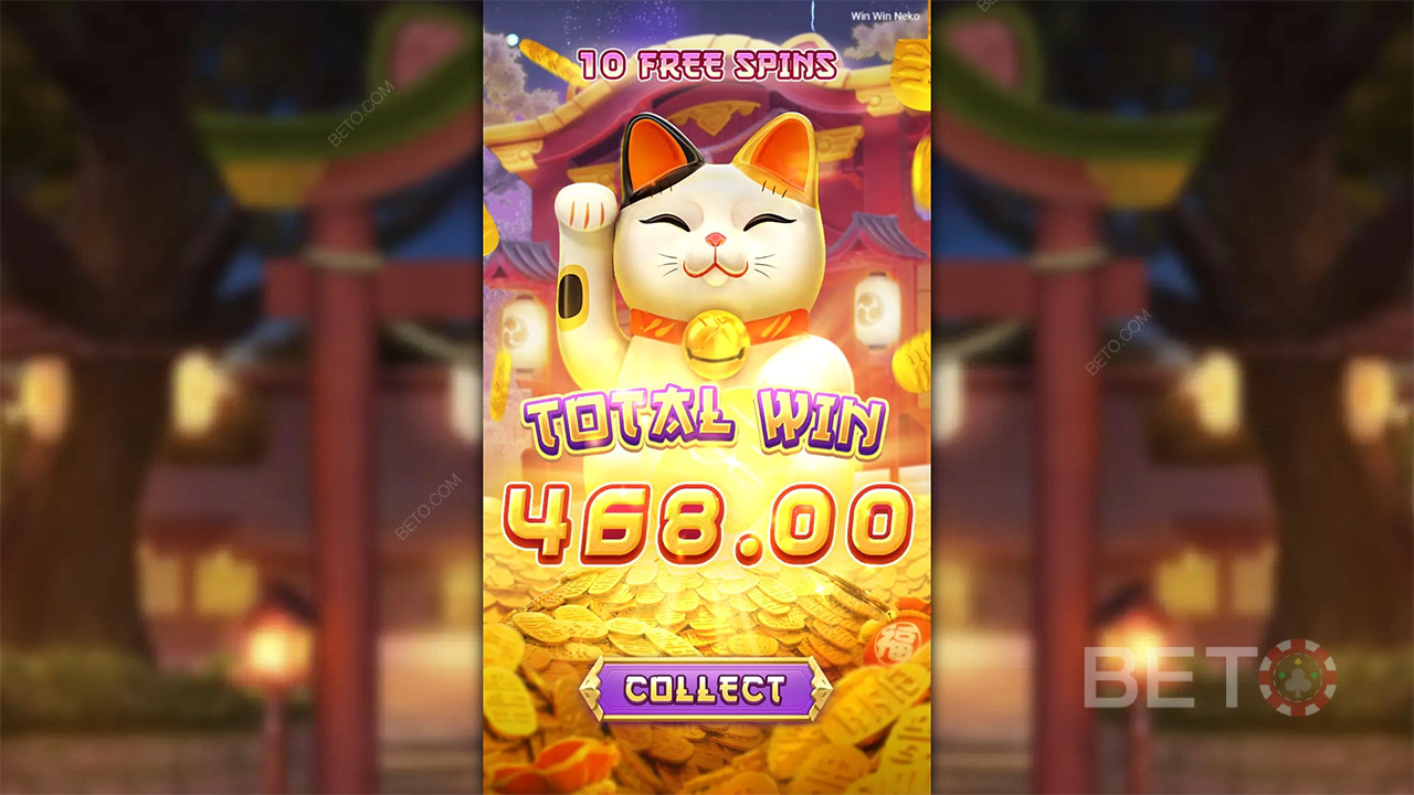 Vincere vincere Neko - Sì o No