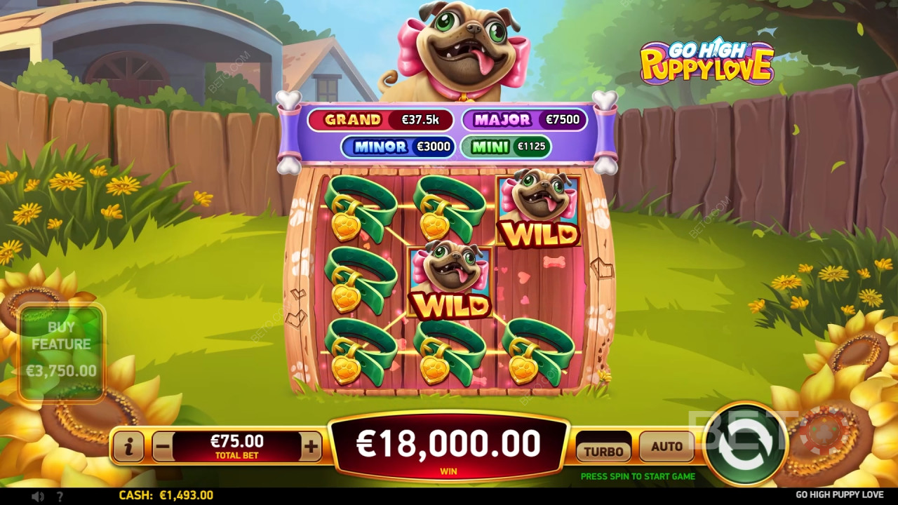Recensione di Go High Puppy Love da parte di BETO Slots