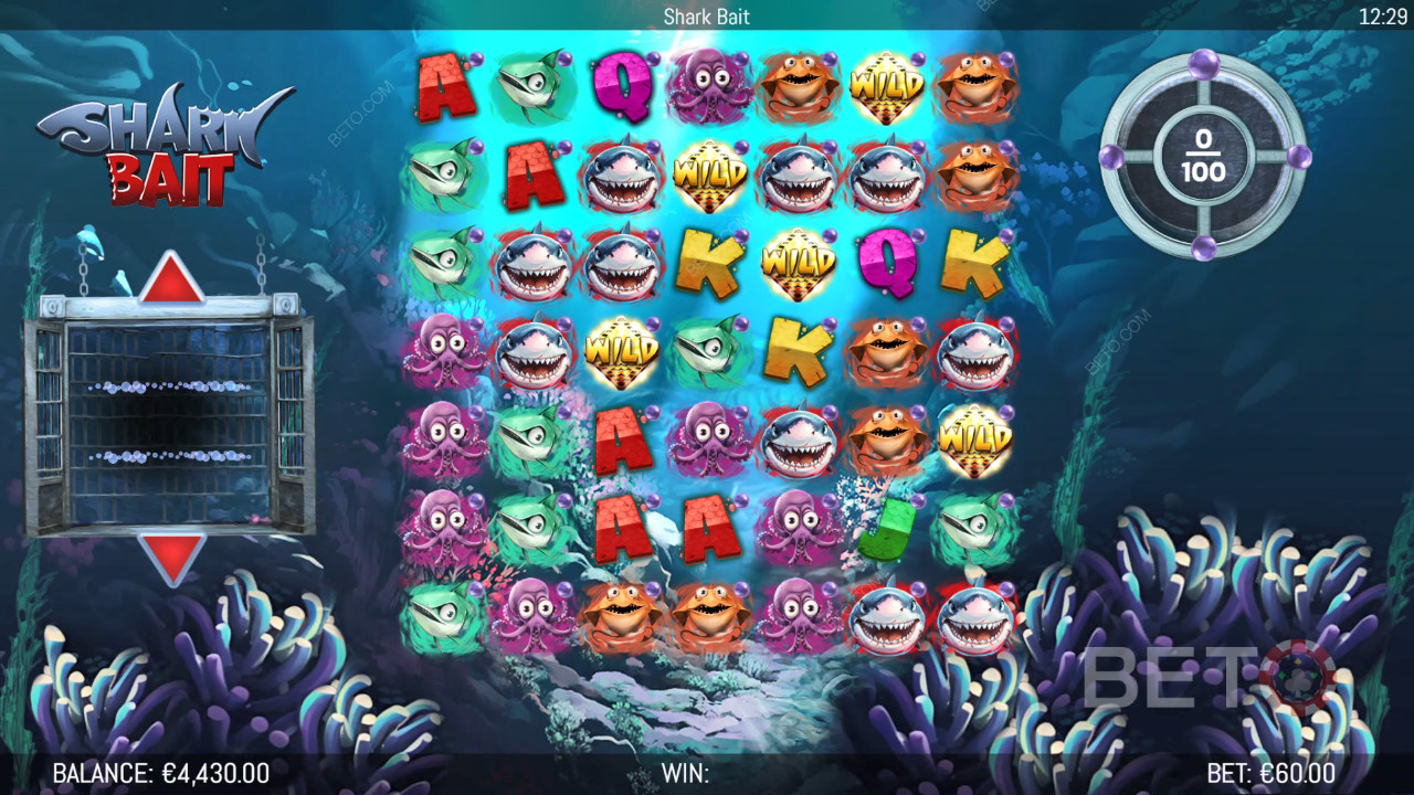 Le caratteristiche dei bonus spiegate in Shark Bait di Hungry Bear