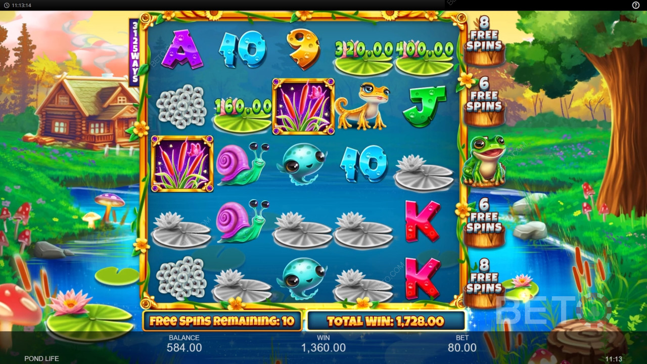Le funzioni bonus spiegate in Pond Life da Inspired Gaming