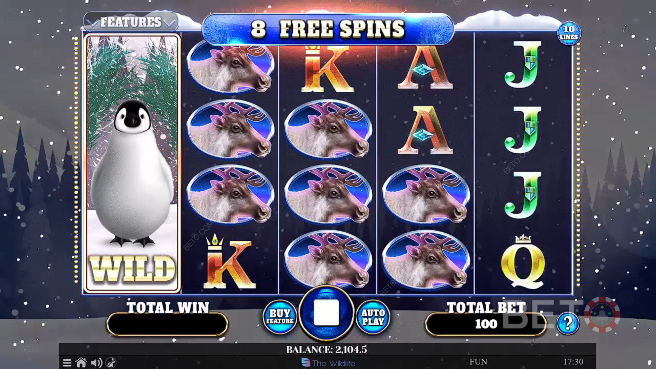 Recensione di Wild Penguin da parte di BETO Slots