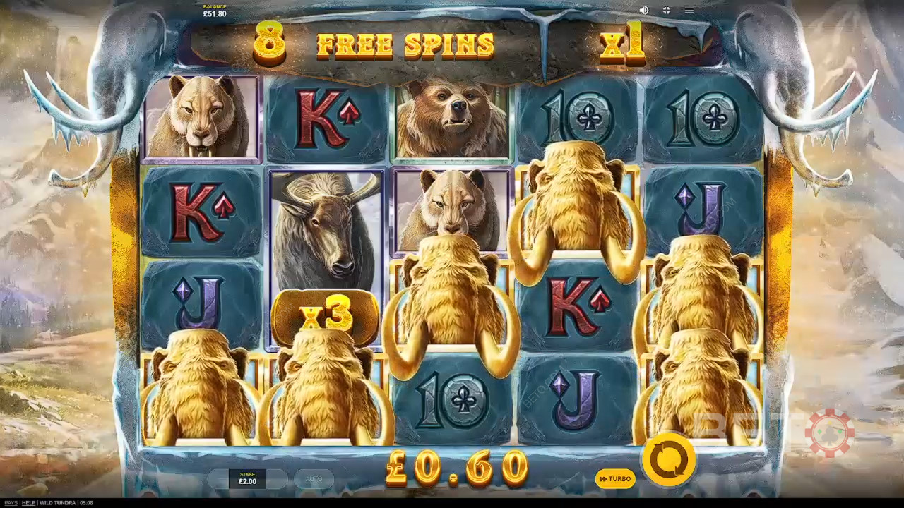 Recensione di Wild Tundra da parte di BETO Slots