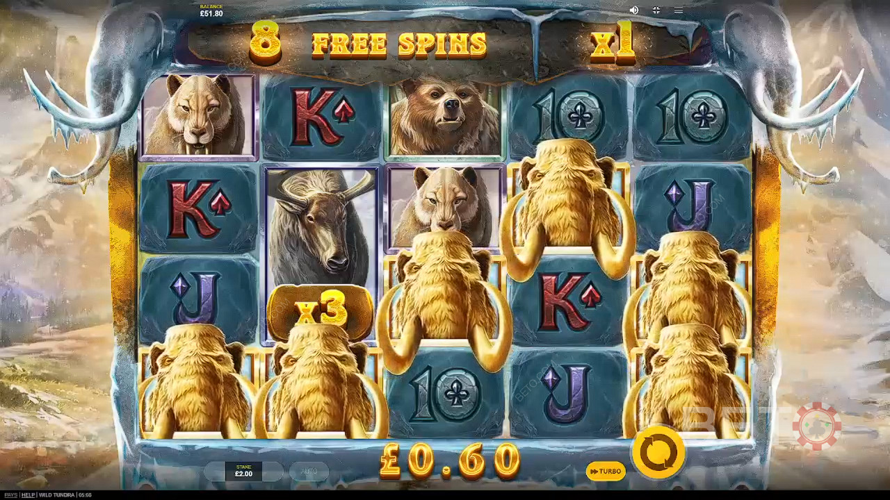 Wild Tundra Gioco Gratuito