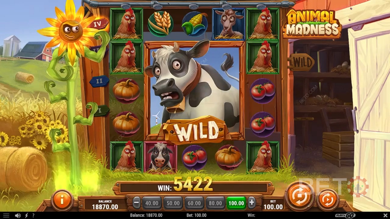 La recensione di Animal Madness da parte di BETO Slots