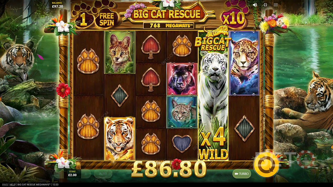 Big Cat Rescue Megaways Recensione di BETO Slots