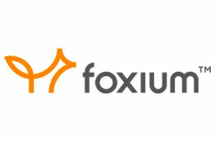 Foxium ᐈ Gioca alle slot gratis ✚ Leggi la recensione (2025)