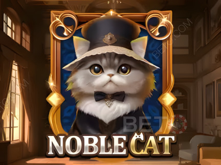 Noble Cat Demo