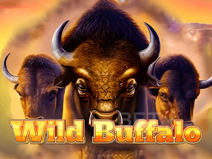 Wild Buffalo Demo