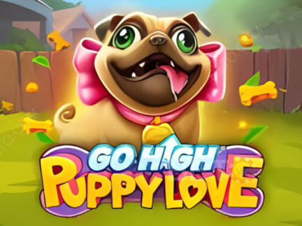 Go High Puppy Love Demo